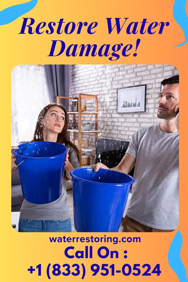 water restoration North Water Solutions & Sons Mechanicsville