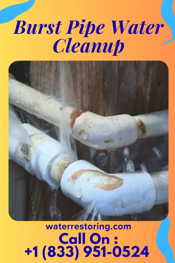 Burst Pipe Water Cleanup in Mechanicsville, PA