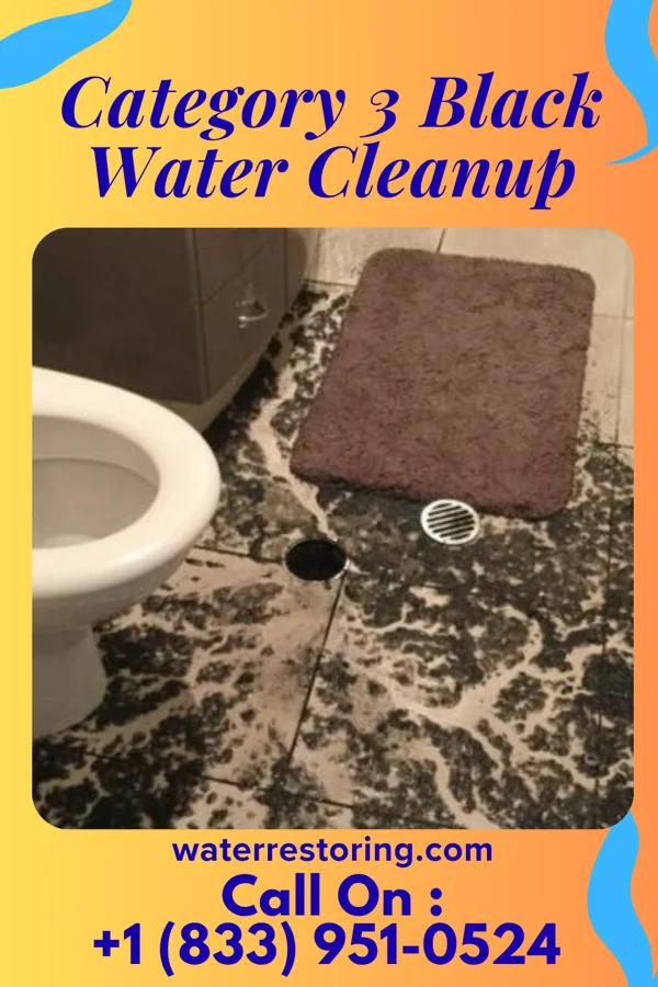 Category 3 Black Water Cleanup in Mechanicsville, PA