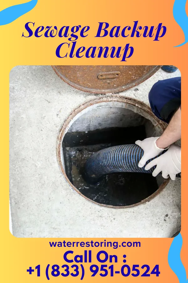 Sewage Backup Cleanup in Mechanicsville, PA