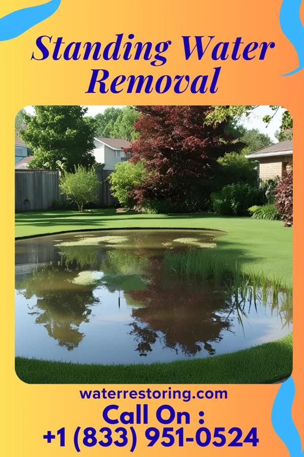 Standing Water Removal in Mechanicsville, PA